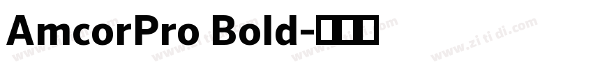 AmcorPro Bold字体转换